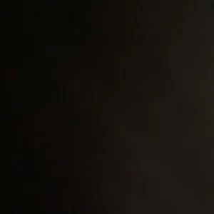 وليد البلوشي