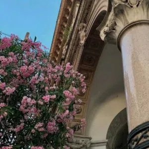 جنى 