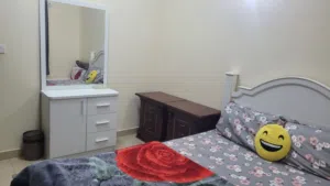 9-m2-1-bedroom-apartments-for-rent-in-ajman-al-hamidiya