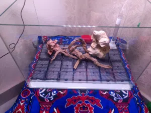 حوض سمك بكامل معداته