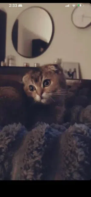 البسه للبيع بسبب السفر