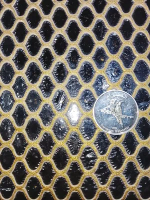 ريال عماني فضة تذكاري نادر (طائر الخضير 2009) - للحفاظ على التراث