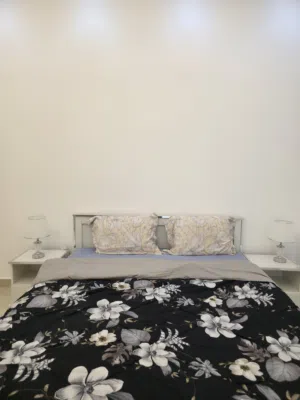 200 m2 Studio Apartments for Rent in Al Ain Al Jimi