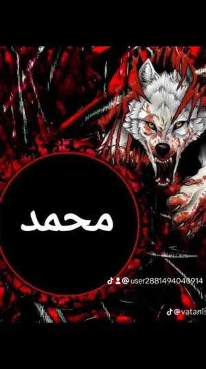 محمد المحجوب 