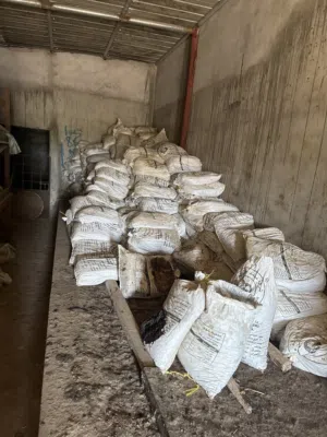 بيع تمر نفيعه انتاج ألسنه  السلاحه