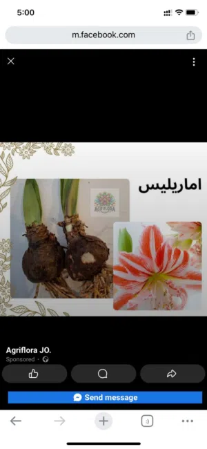 بذور خضروات وازهار متنوعة ومميزة وكل مستلزمات الحدائق تجدونها لدينا