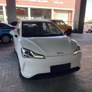 NETA V 2022