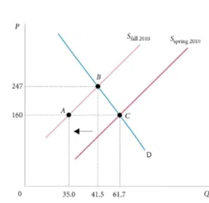 مدرس اقتصاد للجامعات و الدراسات العليا