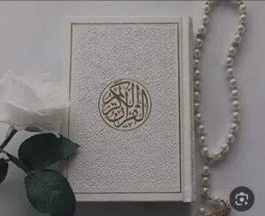 شقق للايجار 