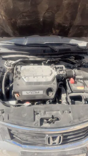 Used Honda Accord in Tripoli