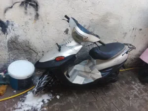 كل تفاصيل بل وصف قره زين ومتوتجد وتساب