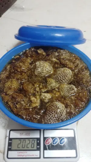 عسل برم ابو طويق