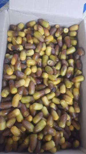 رطب منومه للبيع