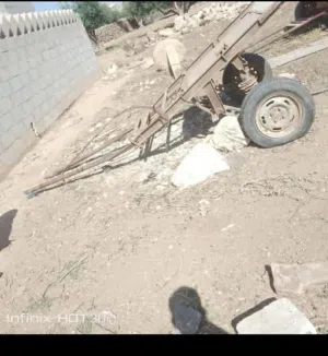 موجود طنابر عدد 2