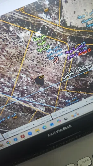 فرصة استثمارية مميزه اراضي تل حوض بير الغزال اطلالة بنوراما قمة الجبل