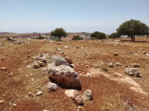 Farm Land for Sale in Salt Al Balqa'