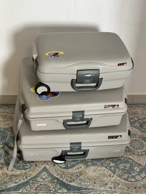 Other . Travel Bags . Silver . Used2