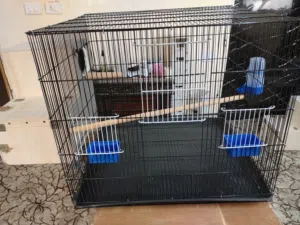 أقفاص معاكيف