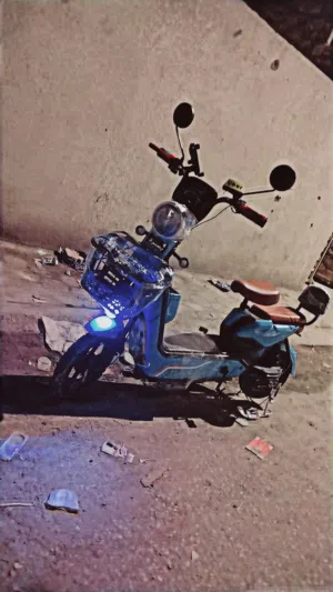 علي 