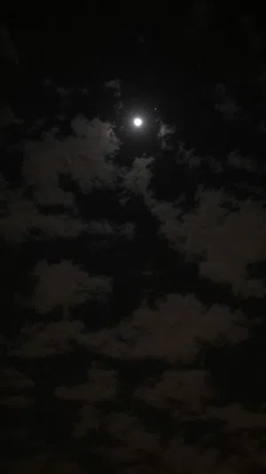 ابراهيم الفقيه 