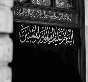 محمد عبد الباقي 