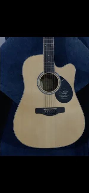جيتار 12 وتر دبل تون Greg Bennett 12-string: رنين وأداء استثنائي بسعر ممتااااز