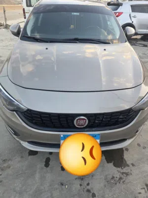 فيت تيبو 2021 لون دهبي