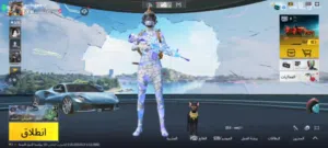 Pubg Accounts and Characters for Sale in Hajjah