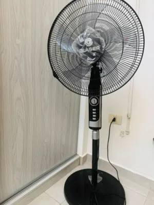 Standing Fan