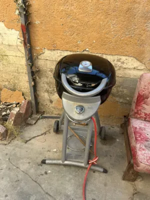 قرل شوي بحاله ممتازه