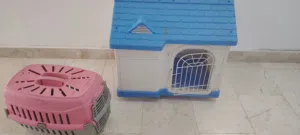 بيت قطط وحامله