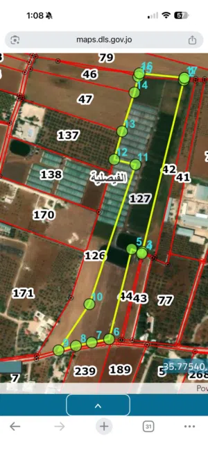 Farm Land for Sale in Madaba Al-Faisaliyyah