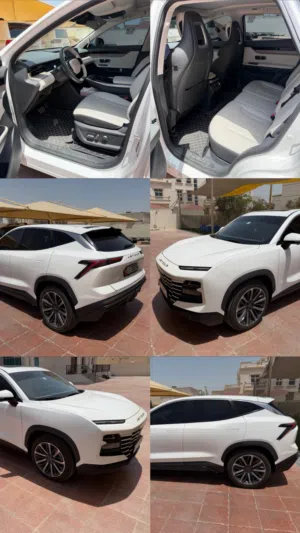 Used Jetour Dasheng in Abu Dhabi