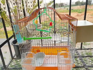 Accessories . Birds & Poultry0