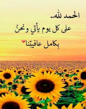 حساب ببجي واللي عاوزه يراسلني حساب ببجي مش زيه بجنن
