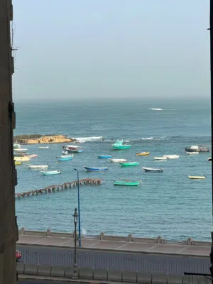 شقه للبيع في ميامي تاني نمره من البحر