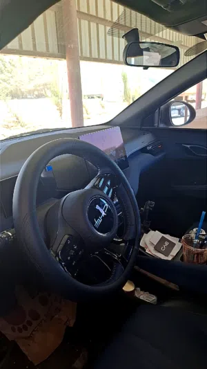 BYD Seagull 2024 استخدام شخصي وفحص كامل