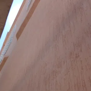 وائل المصري 
