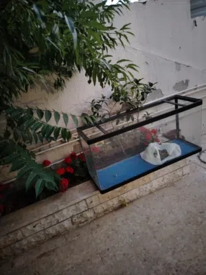حوض سمك مستورد