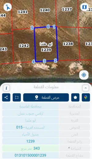 Residential Land for Sale in Amman Abu Alanda