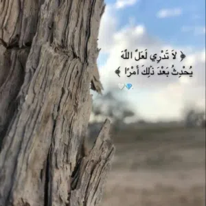 احمد 
