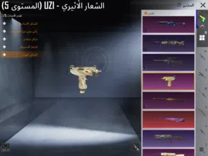 حساب ببجي