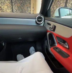 زايد سلطان 