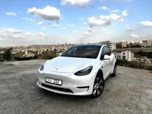 Tesla Model Y Standard Range 2021