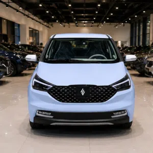 للبيع JMEV EV3 كهربائية زيرو جنوط ألمنيوم تشغيل ذكي