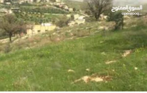Residential Land for Sale in Zarqa Birayn