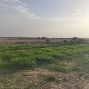 للبيع مزرعة ف ضنك
