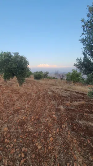 Farm Land for Sale in Jerash Other