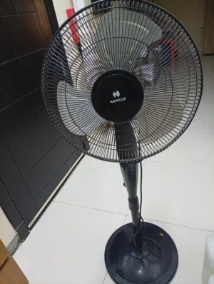 Havens Fan