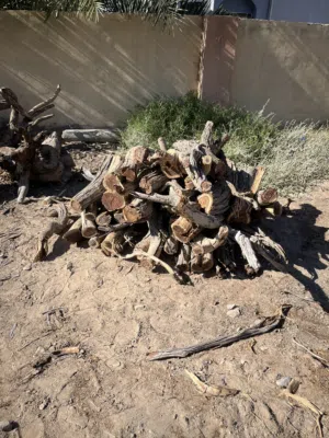 حطب سمر للبيع